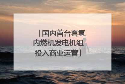 国内首台套氢内燃机发电机组投入商业运营